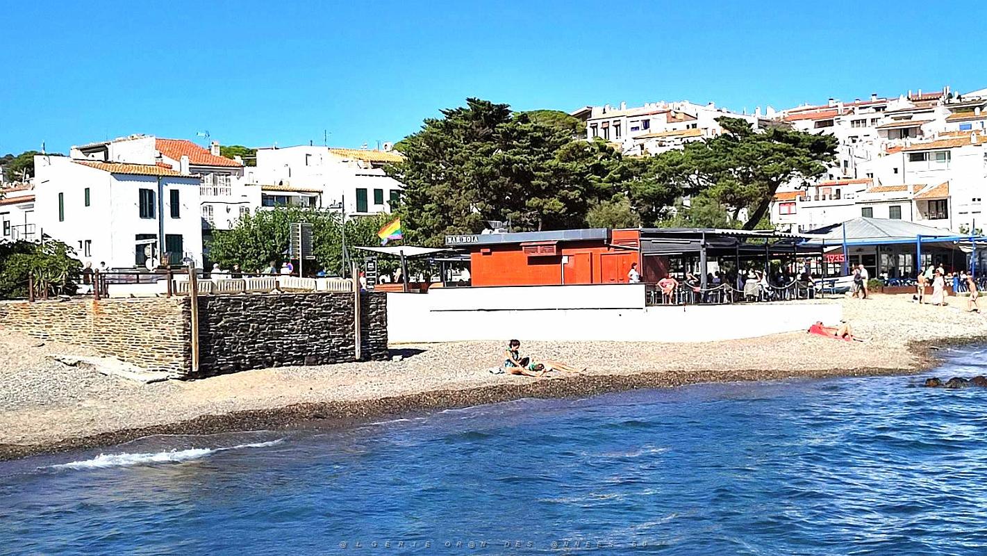 De Rosas a Cadaques 82.jpg